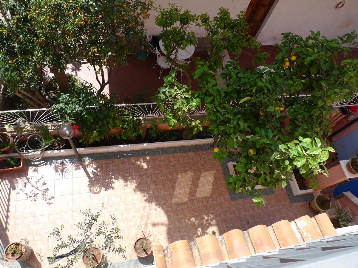 سانتا دومينيكا B&B Il Nido المظهر الخارجي الصورة